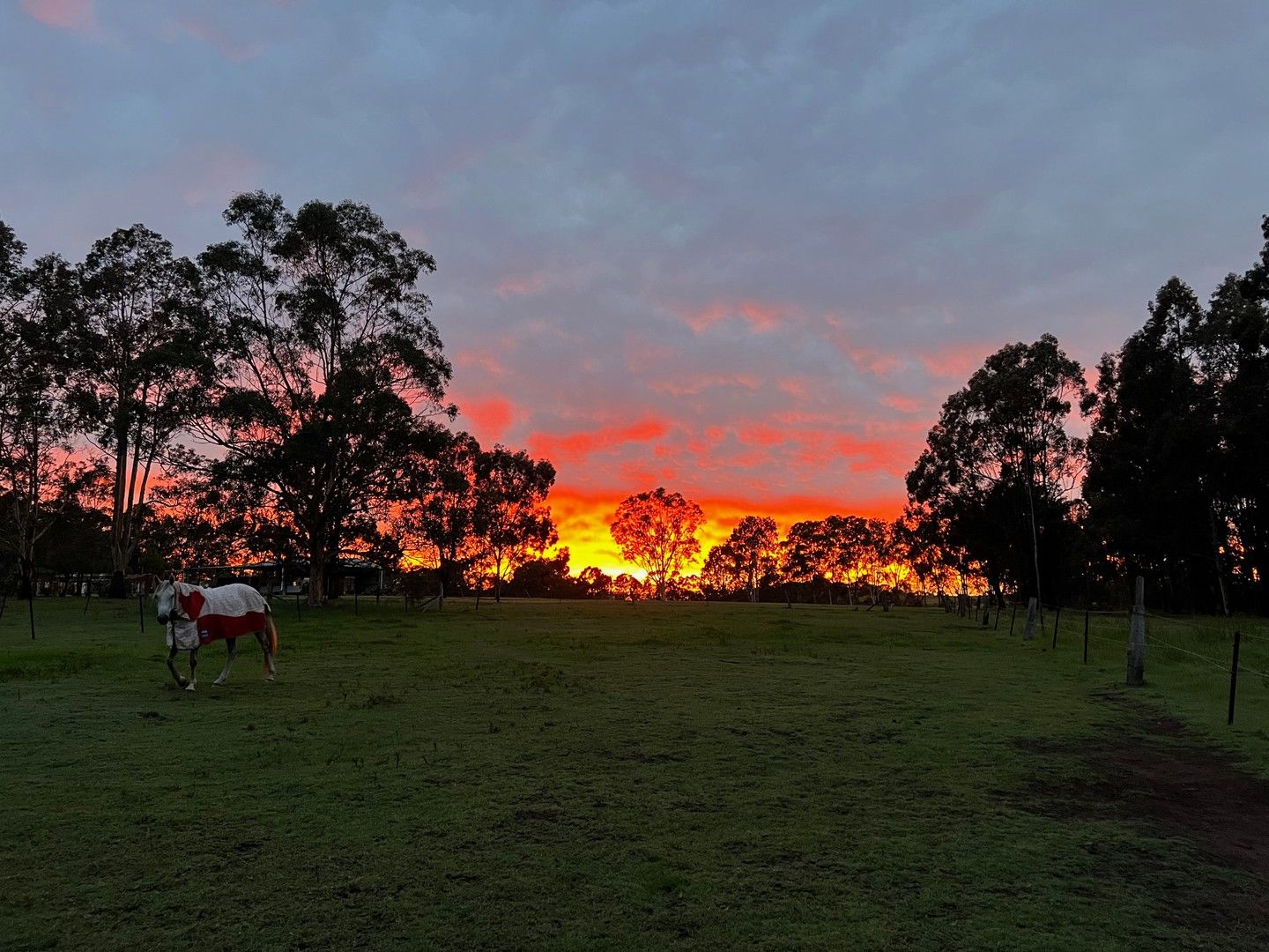 1461 New England Highway, Harpers Hill NSW 2321, Image 0