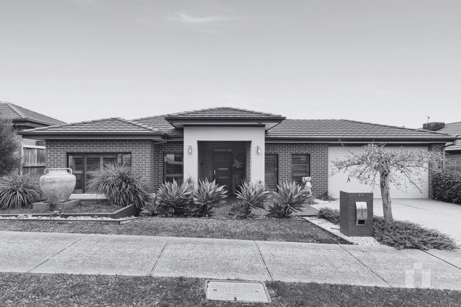 Picture of 11 Dilwynia Avenue, DOREEN VIC 3754