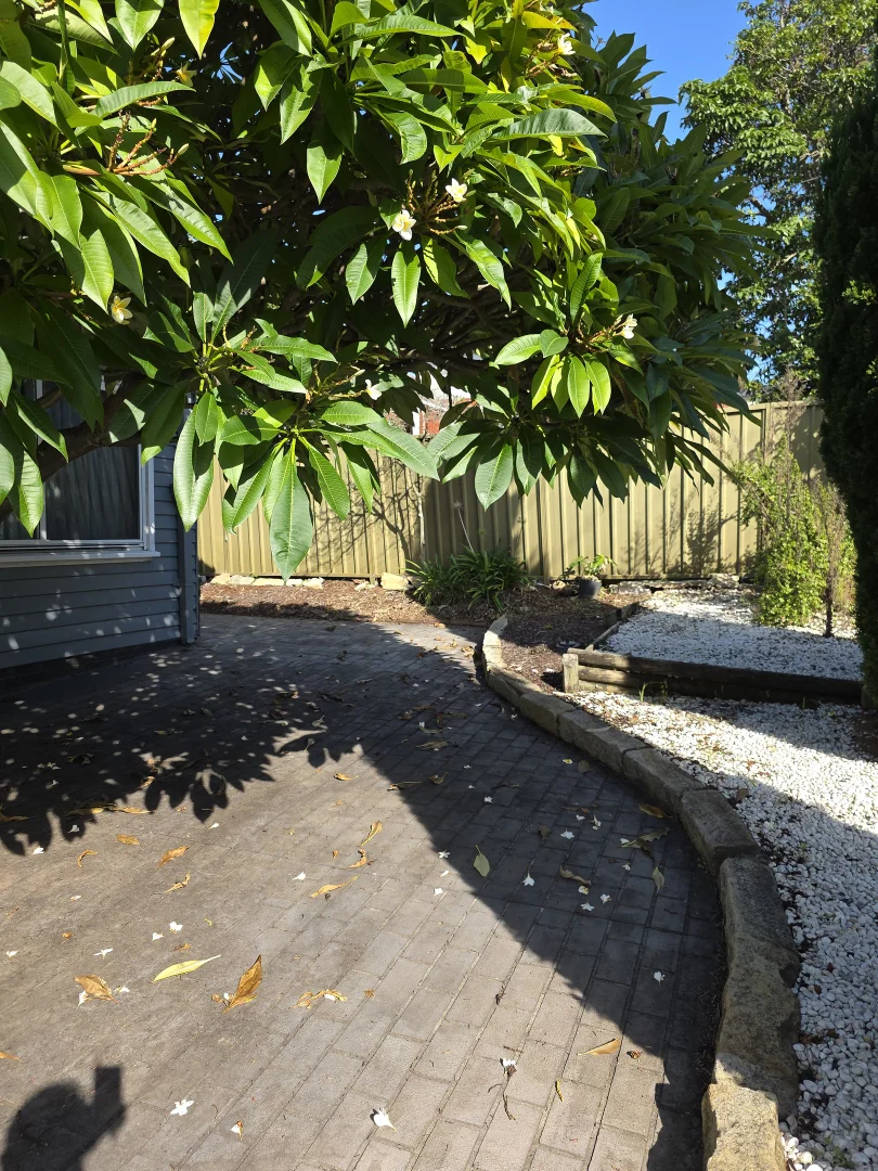 Additional image 26 of 1 Kywong St, Telopea NSW 2117