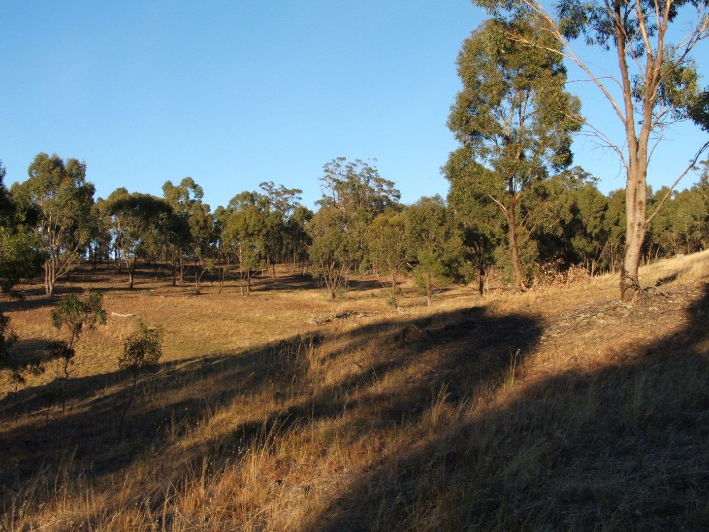 lot/7 Mason Drive, Moliagul VIC 3472, Image 0