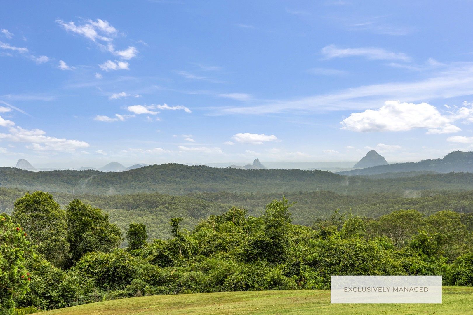 Buderim QLD 4556 4 beds house for Rent, 1,250 Furnished 16479879