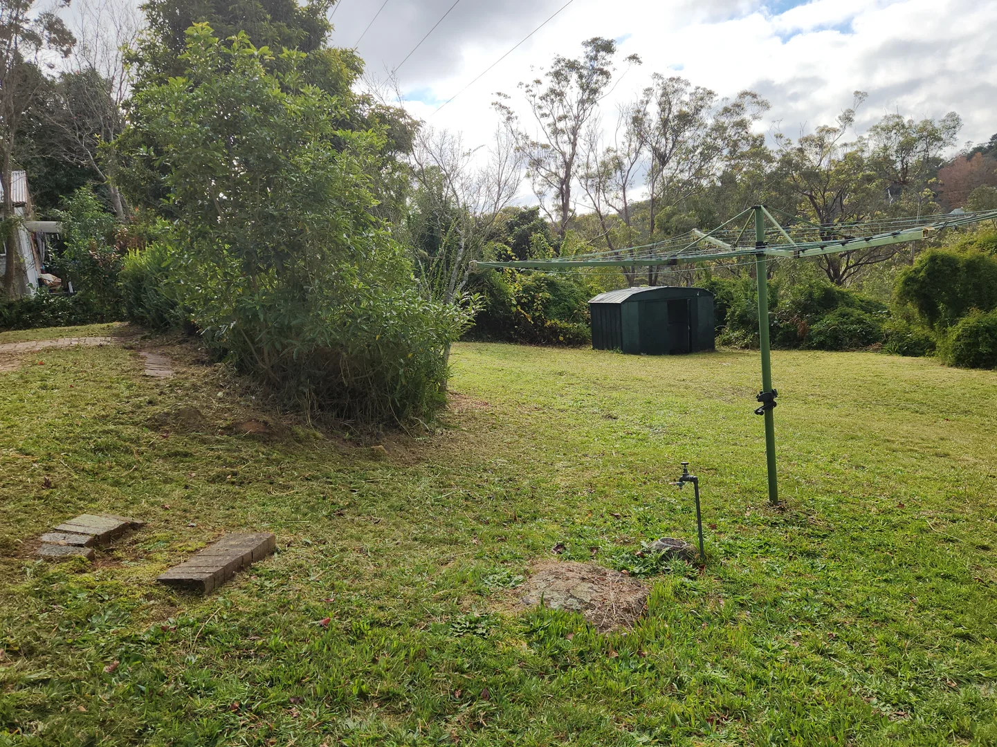 Image 6
