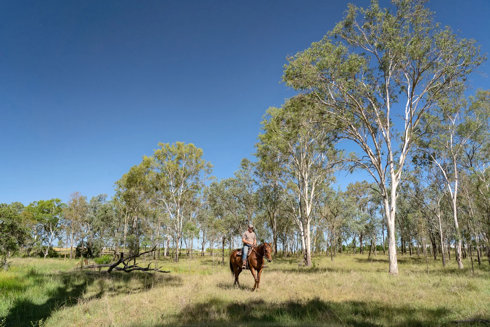 Additional image 10 of Lot 65 Cunningham Highway, Mutdapilly QLD 4307
