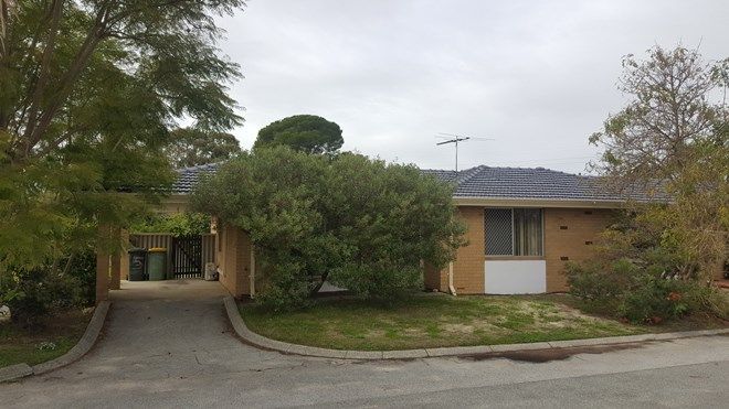 Picture of 5/72-74 Barbican Street, SHELLEY WA 6148
