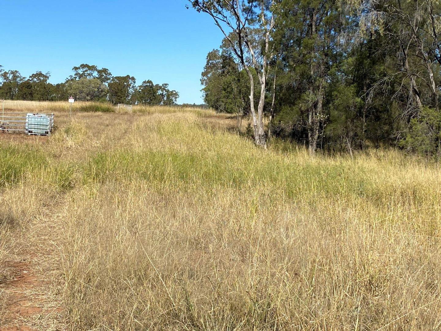 Lot 149 Wallumbilla North Road, Wallumbilla QLD 4428, Image 2