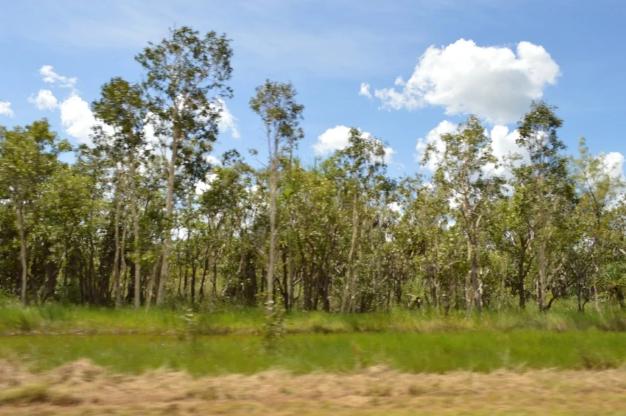 Additional image 8 of Lot 44 -20 Livingstone Road, Livingstone NT 0822