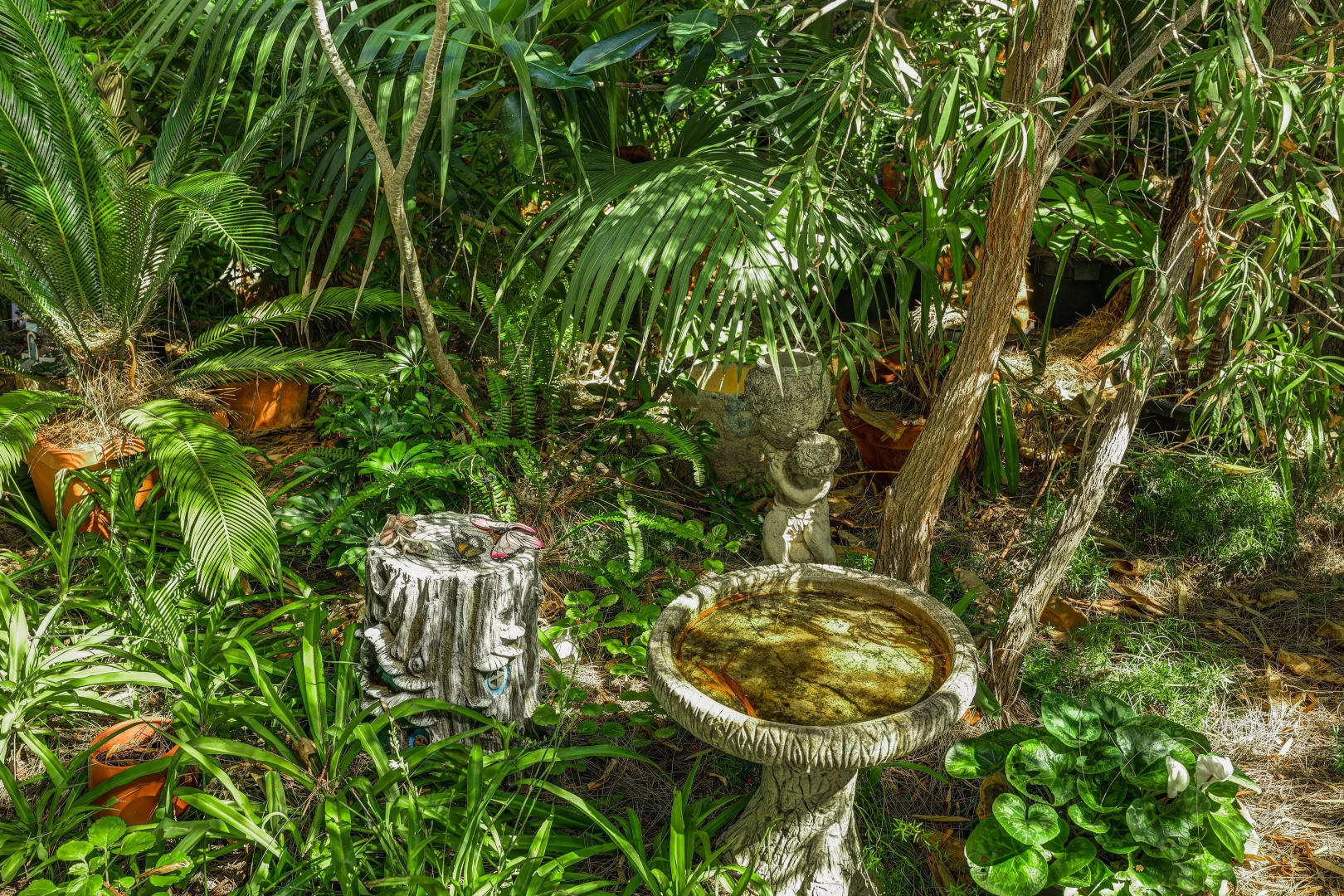 Additional image 22 of 12/99 Buxton Street, North Adelaide SA 5006