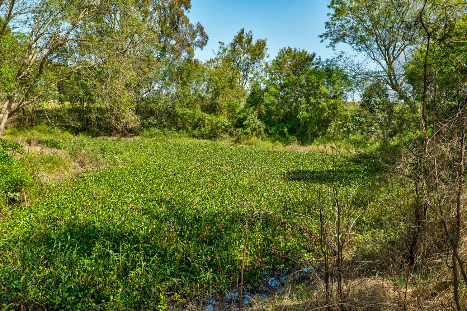 Additional image 26 of 199 Lindemans Rd, Lowood QLD 4311