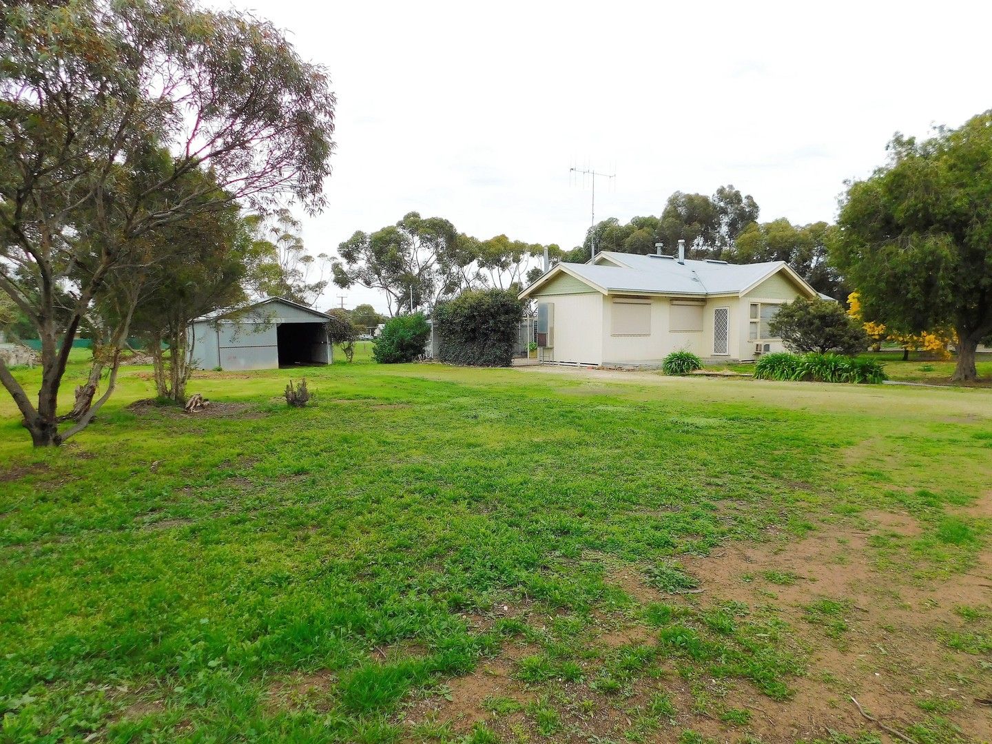 113 Park Terrace, Bordertown SA 5268, Image 0