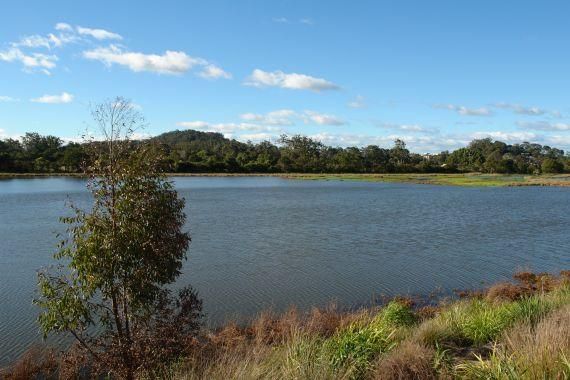 Lot 61 Fairlight Circuit, MARDI NSW 2259, Image 2