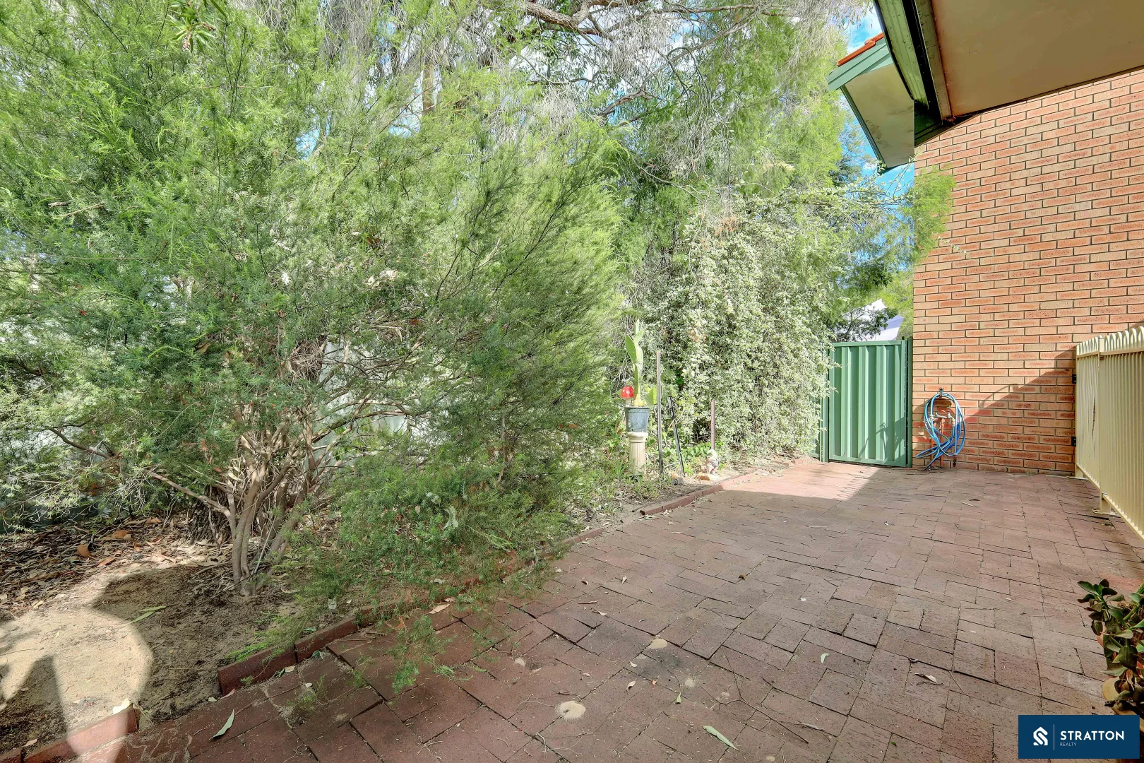 Image 14