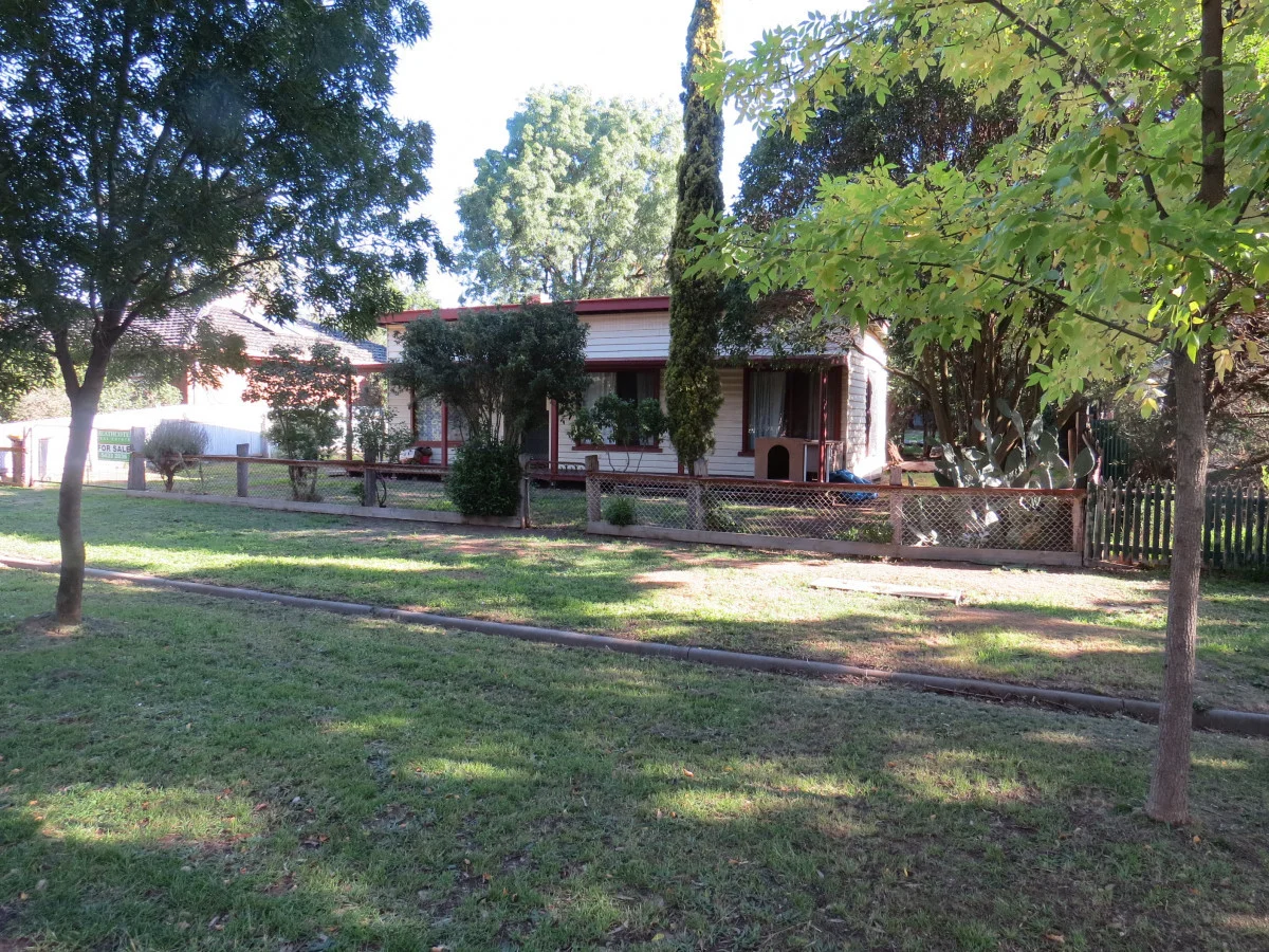 Image 8