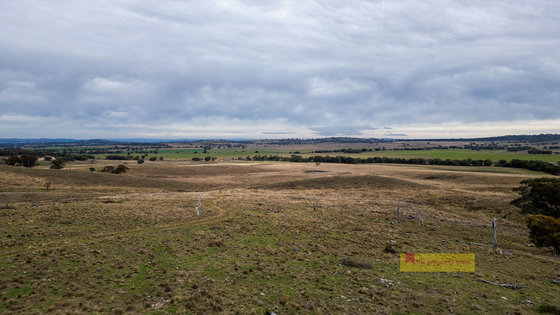 816 Upper Mebul Road, Gulgong NSW 2852 Vacant Land for Sale