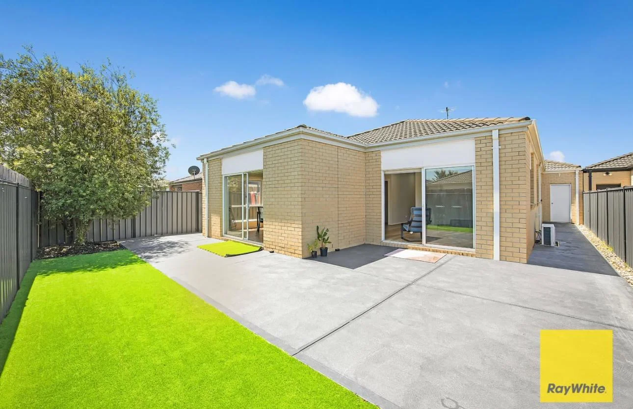 Image 13
