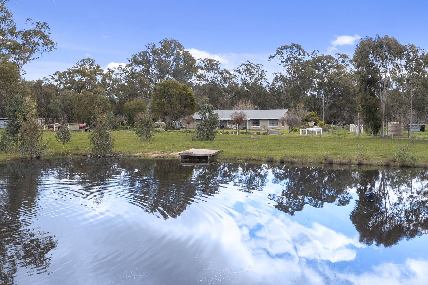 3 bedrooms House in 206 Euroa-Mansfield Road EUROA VIC, 3666
