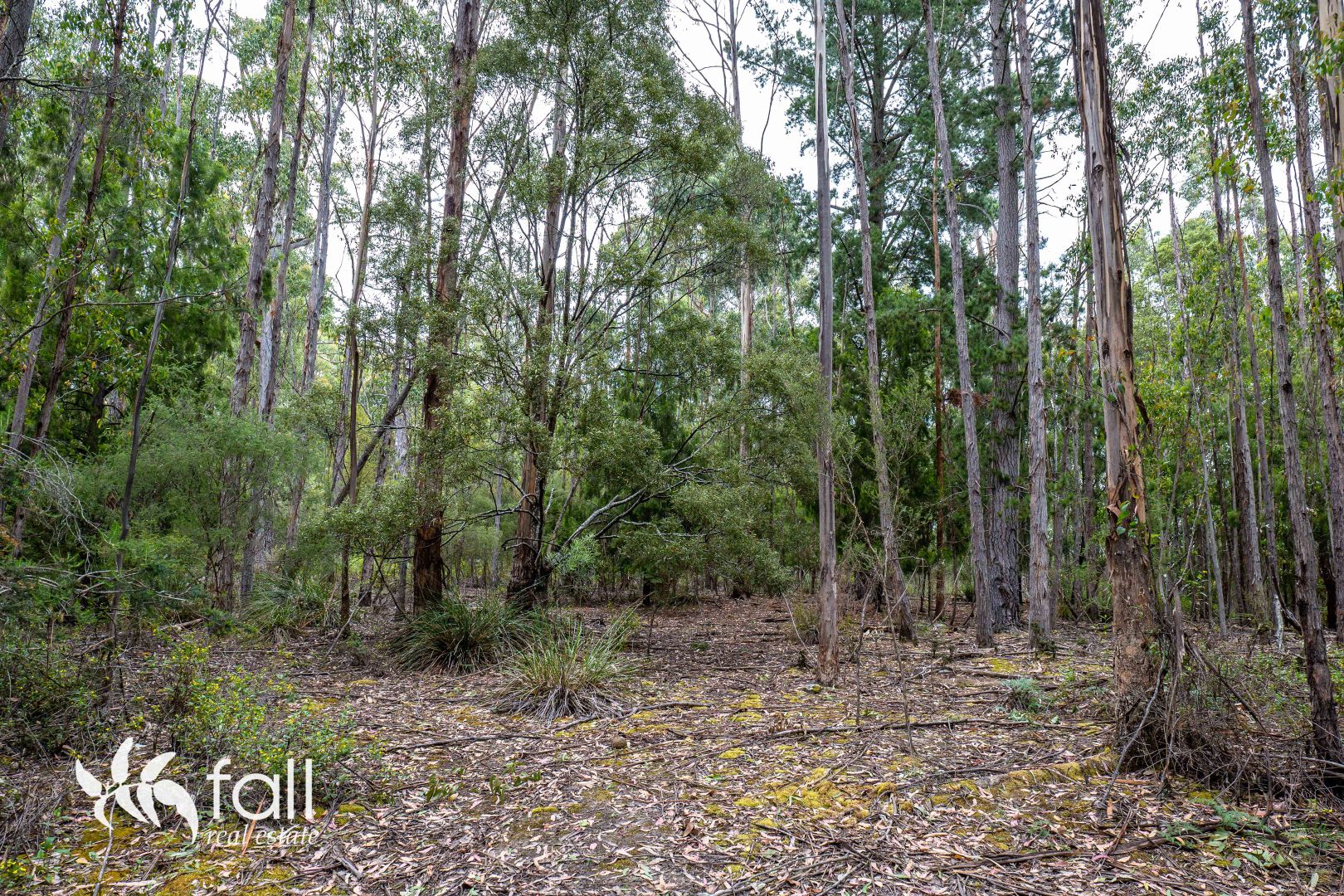 159 Cloudy Bay Road, Lunawanna TAS 7150, Image 1