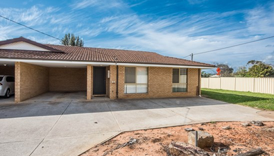 Picture of 1/11 Critch Place, WONTHELLA WA 6530