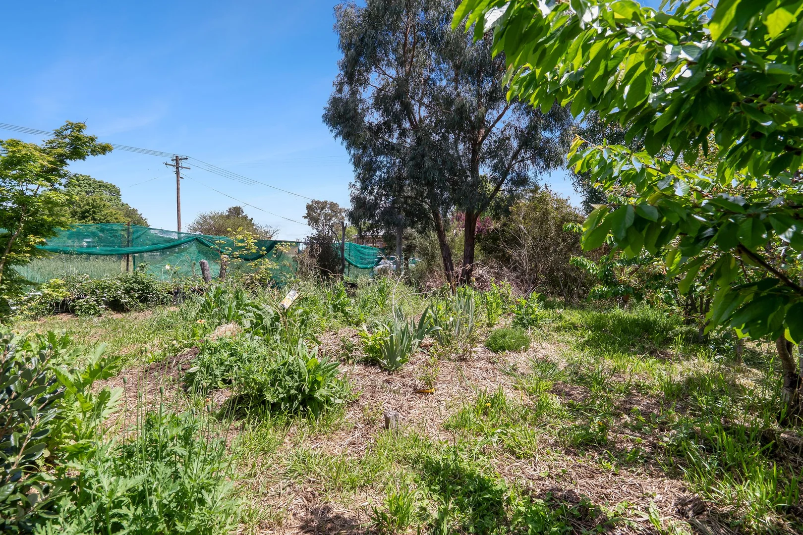 25 Hercules Street, Goulburn NSW 2580 | Domain