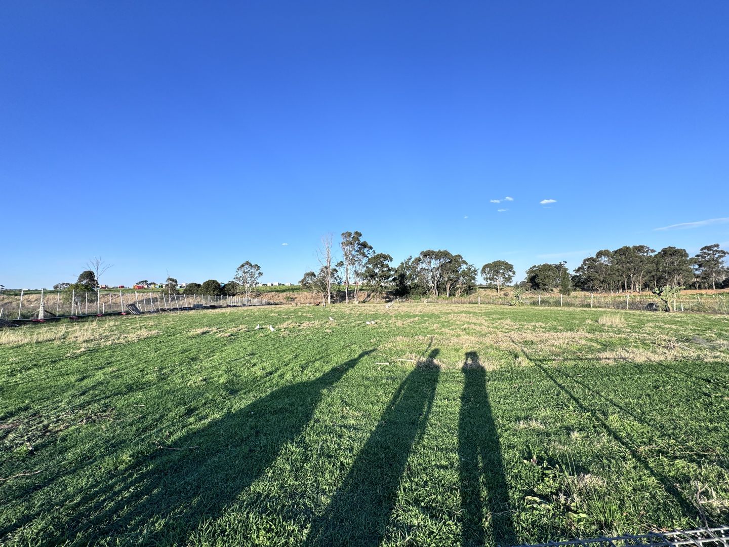 1 bedrooms Farm in 9* Carnarvon Rd SCHOFIELDS NSW, 2762