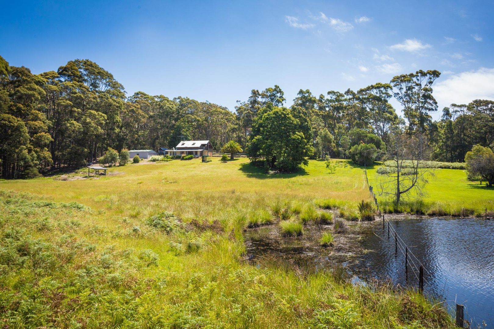 1094 Tathra-Bermagui Road, Tanja NSW 2550, Image 2