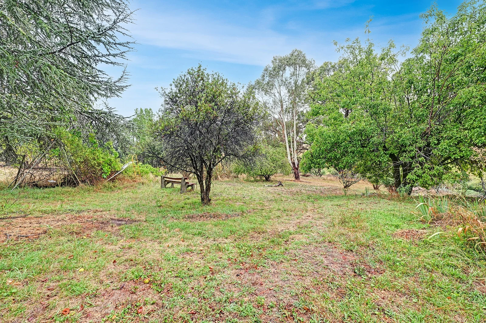 Additional image 19 of 241 Cullya Road, Summer Hill Creek NSW 2800