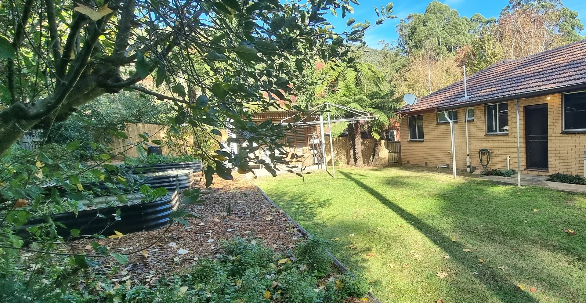 Image 19