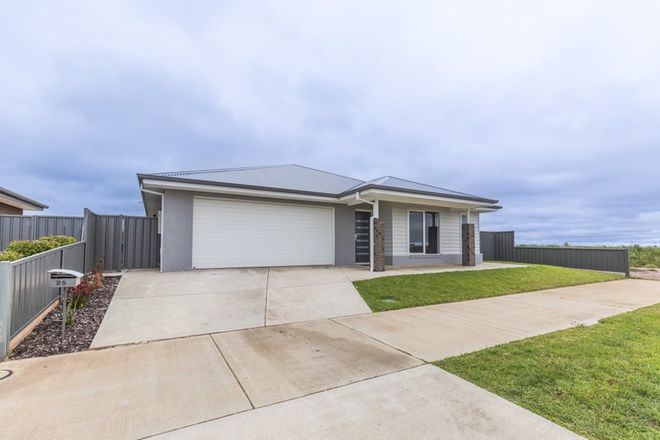 Picture of 25 Sandalwood Avenue, SWAN HILL VIC 3585
