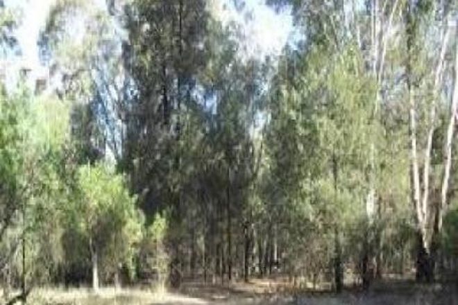 Picture of Lot 12, 6 Christie Drive, GILGANDRA NSW 2827