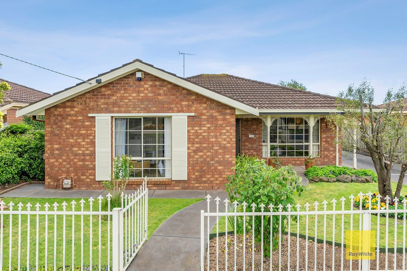 39 Dorothy Street, Leopold VIC 3224, Image 0