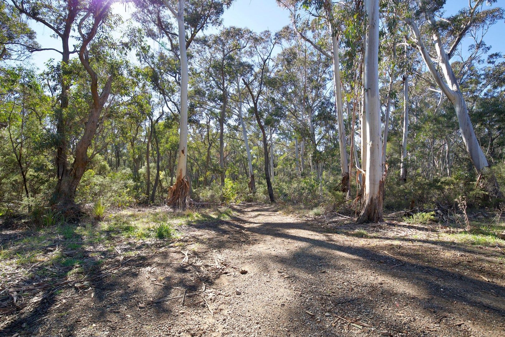 116-126 Railway Parade, Medlow Bath NSW 2780, Image 0