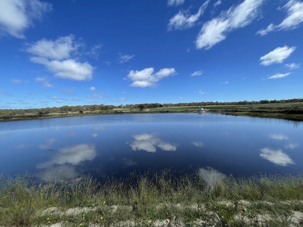 517 Amiens Rd, Broadwater QLD 4380 House for Sale 3,650,000