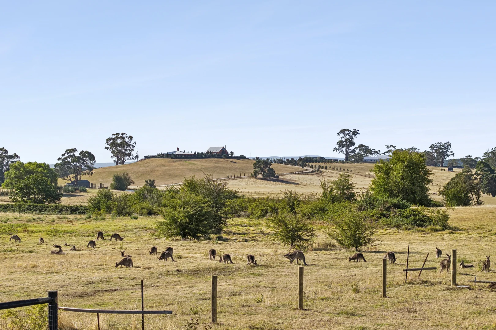 Additional image 22 of 47A Eldon Street, Glenlyon VIC 3461