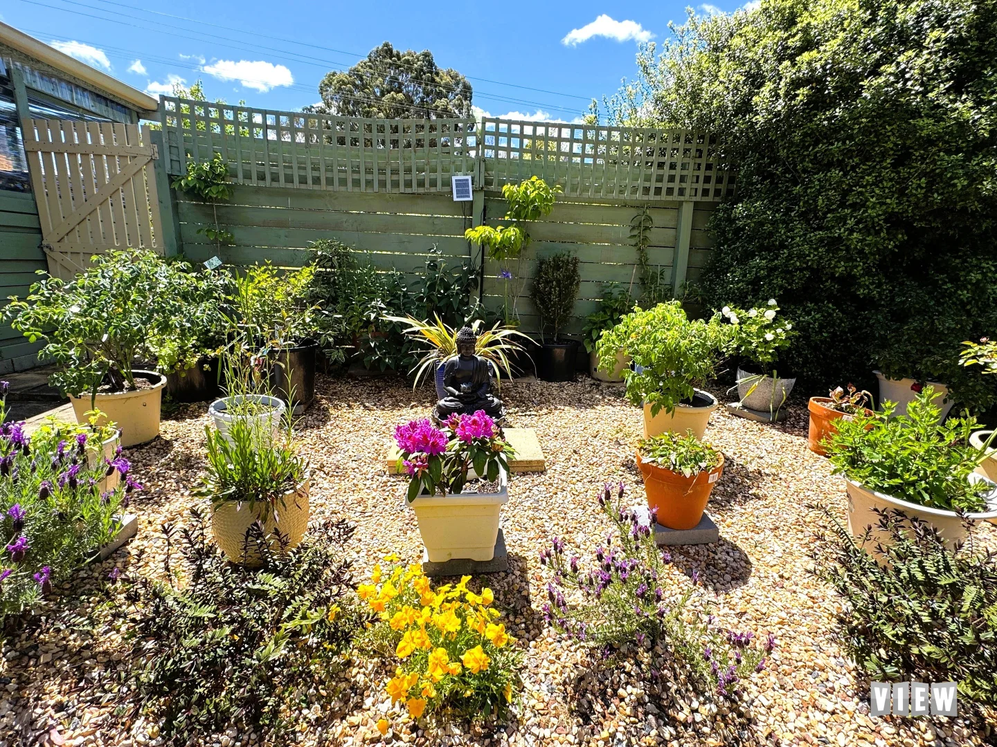 Image 20