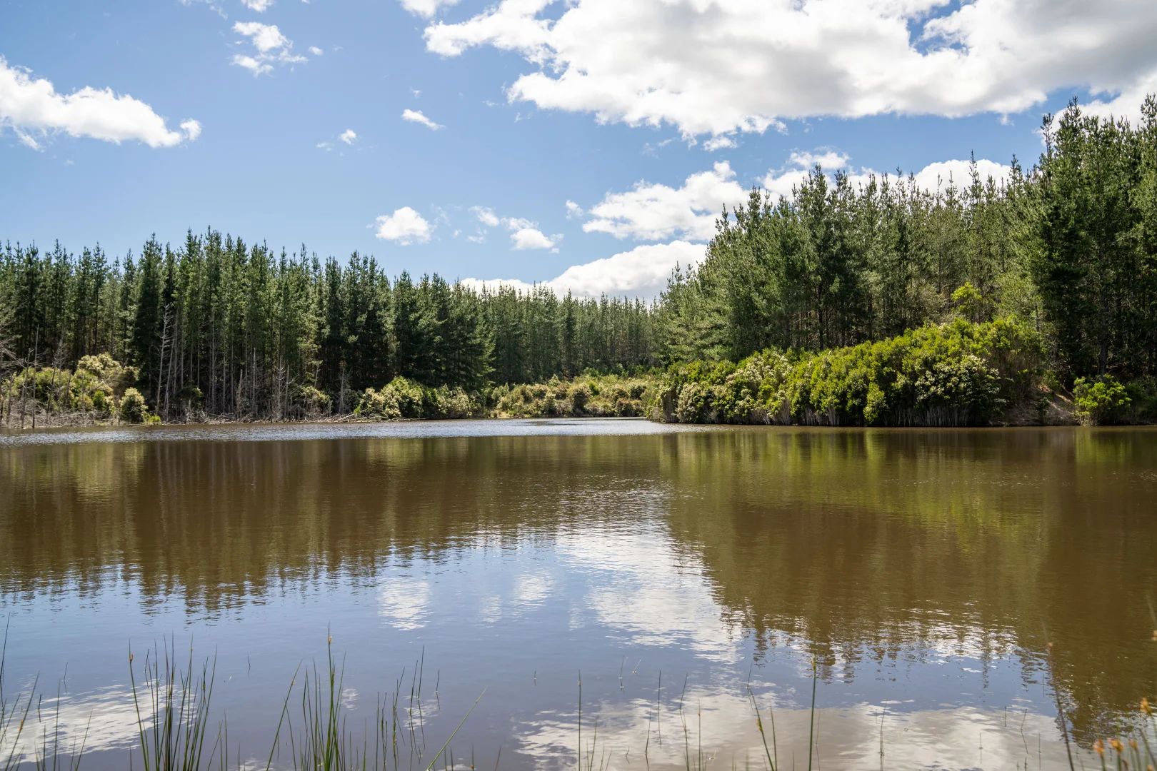 Additional image 11 of . Waterhouse Road, Boobyalla TAS 7264