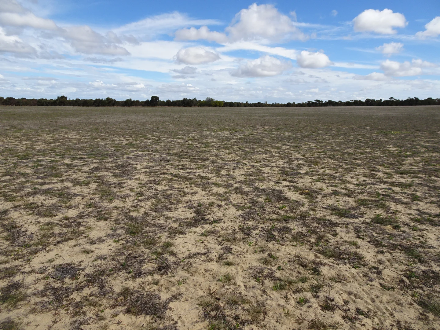 Image 15