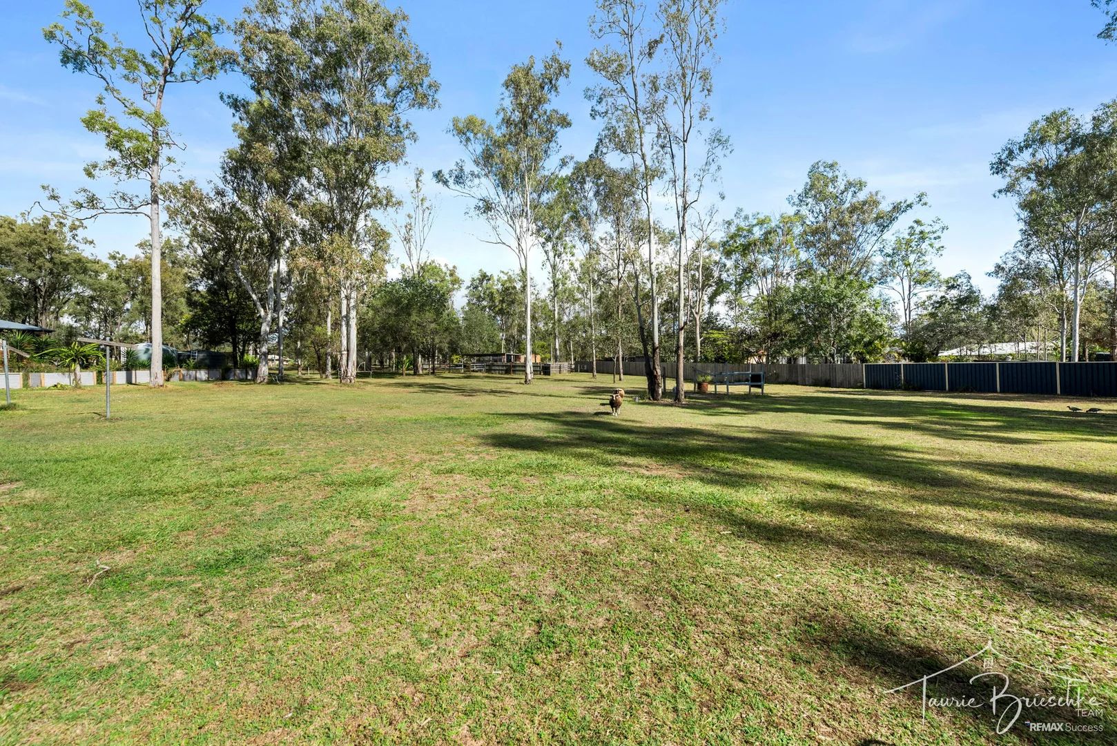 Image 12