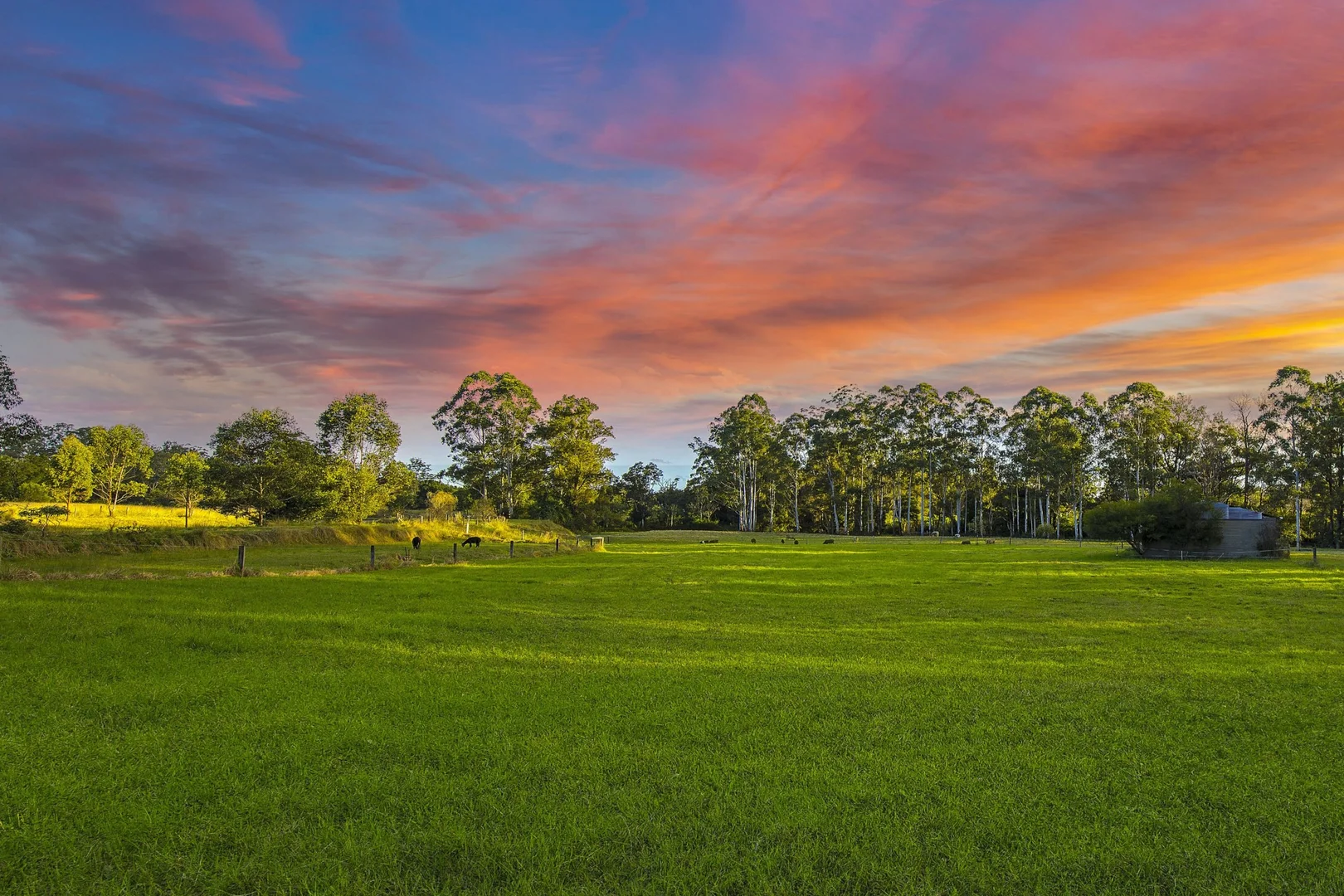 Additional image 29 of 84 Kings Creek Road, Krambach NSW 2429