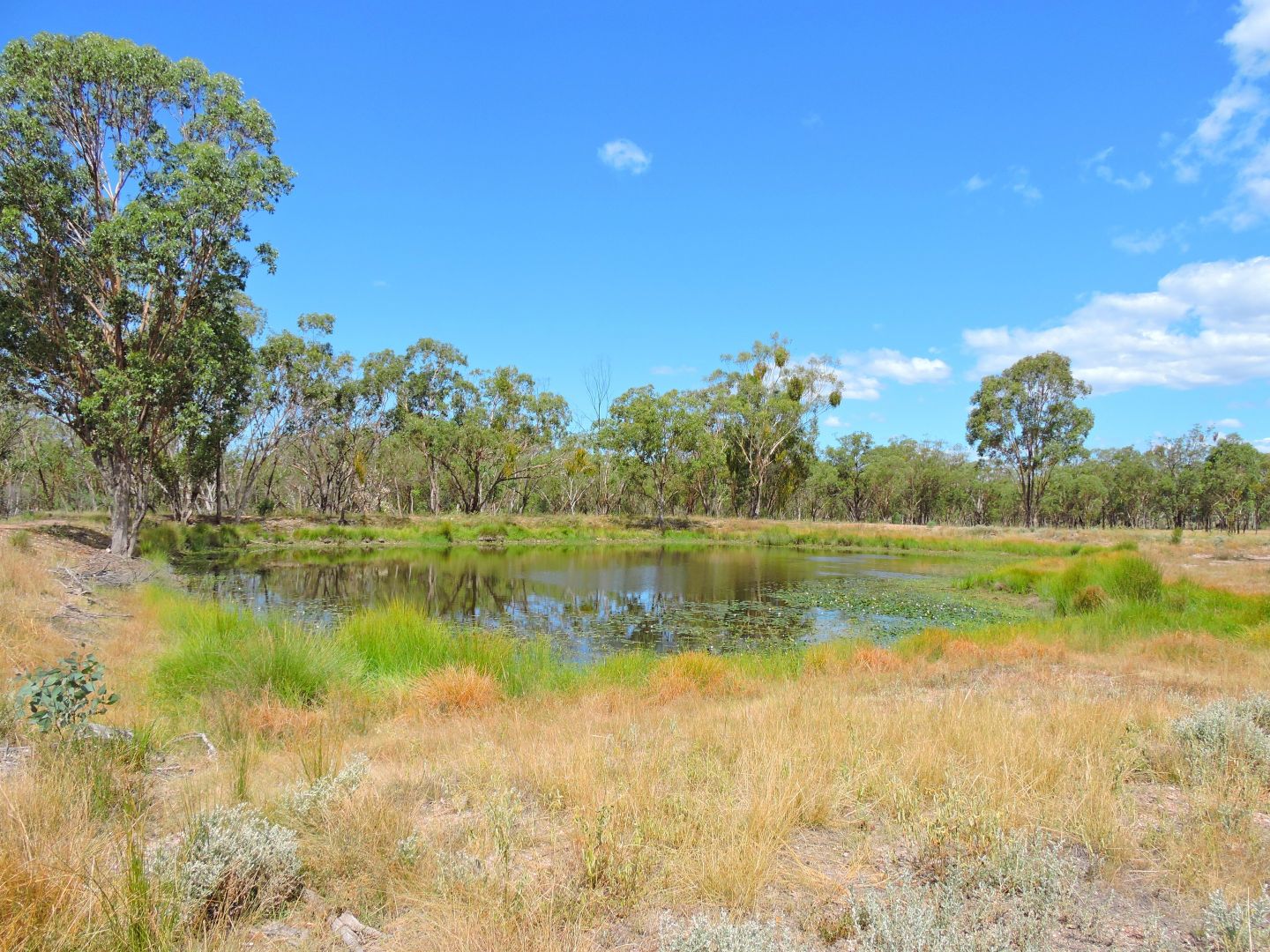 619 Wickhams Rd, Karara QLD 4352, Image 1