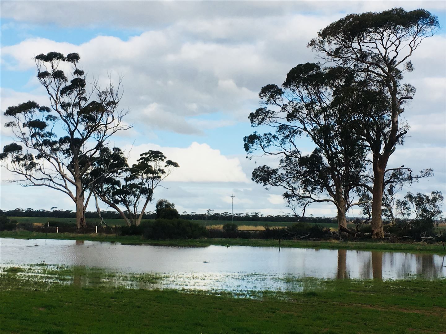 Crnr Bencubbin-Gabbin Rd & Hiscox Rd, Gabbin WA 6476, Image 0