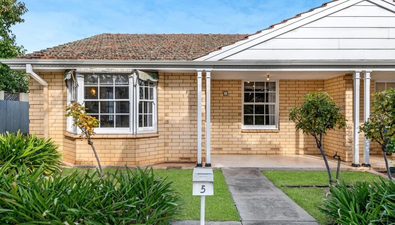 Picture of 5/488 Fullarton Road, MYRTLE BANK SA 5064