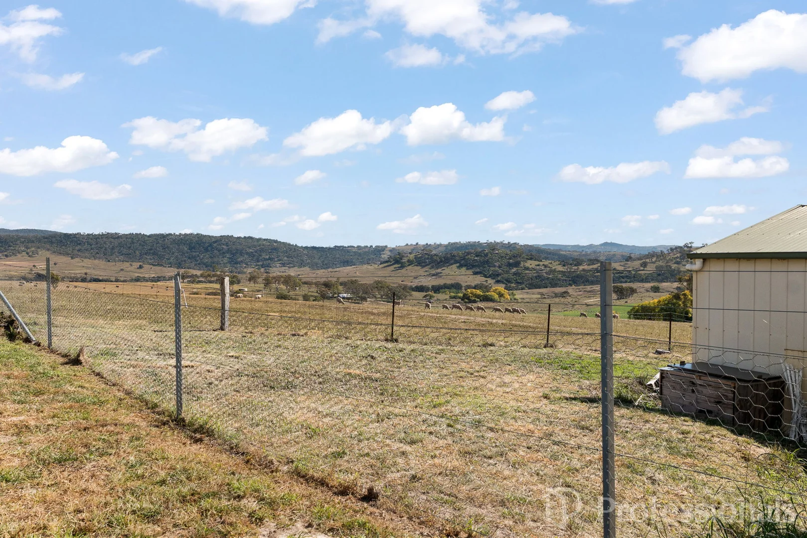 Image 22