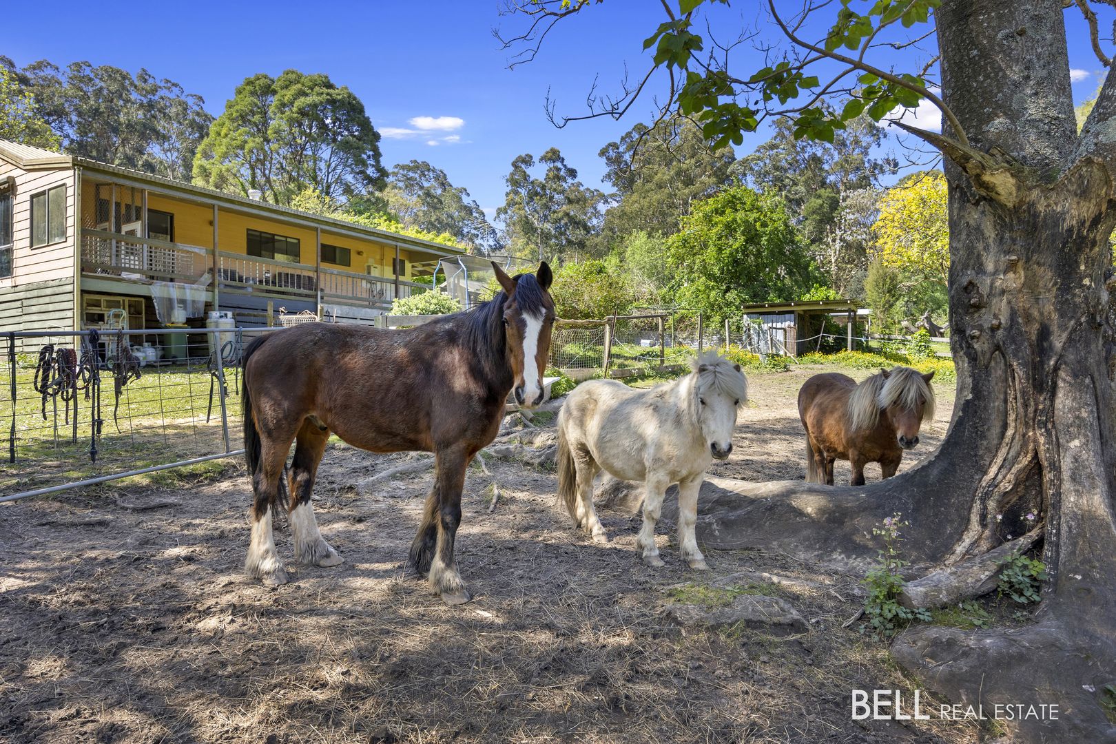 15 Charles Parade, Wesburn VIC 3799, Image 1