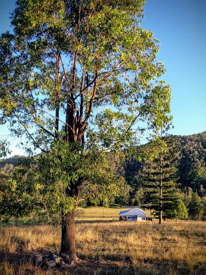 Additional image 15 of Kenilworth QLD 4574