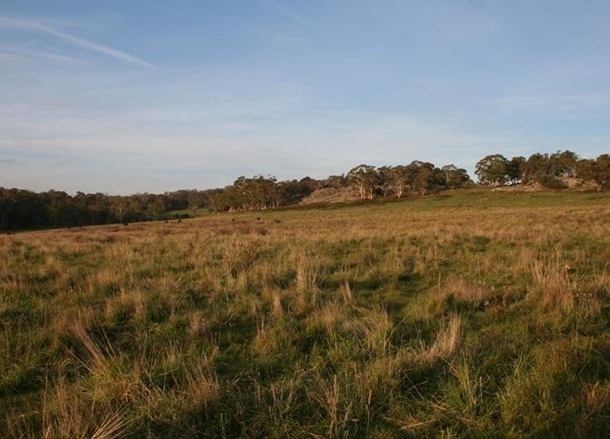 79 Range Road, Meadow Flat NSW 2795
