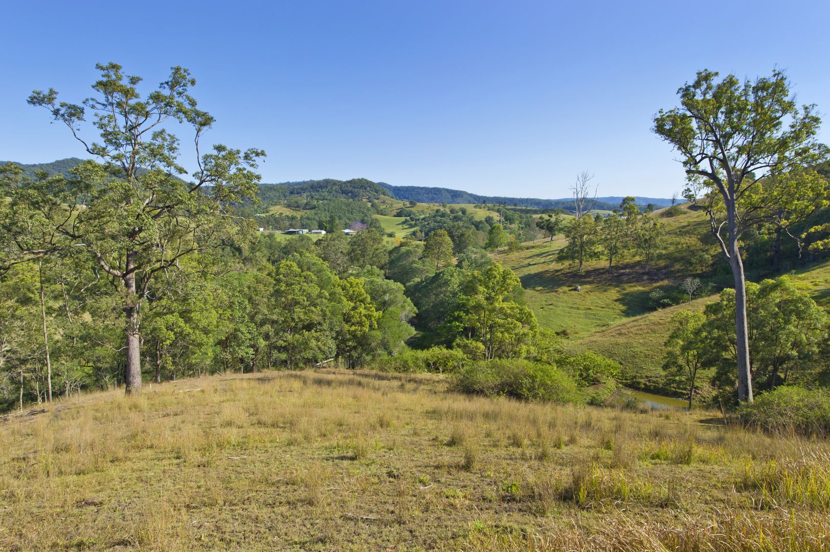 Laceys Creek QLD 4521, Image 1