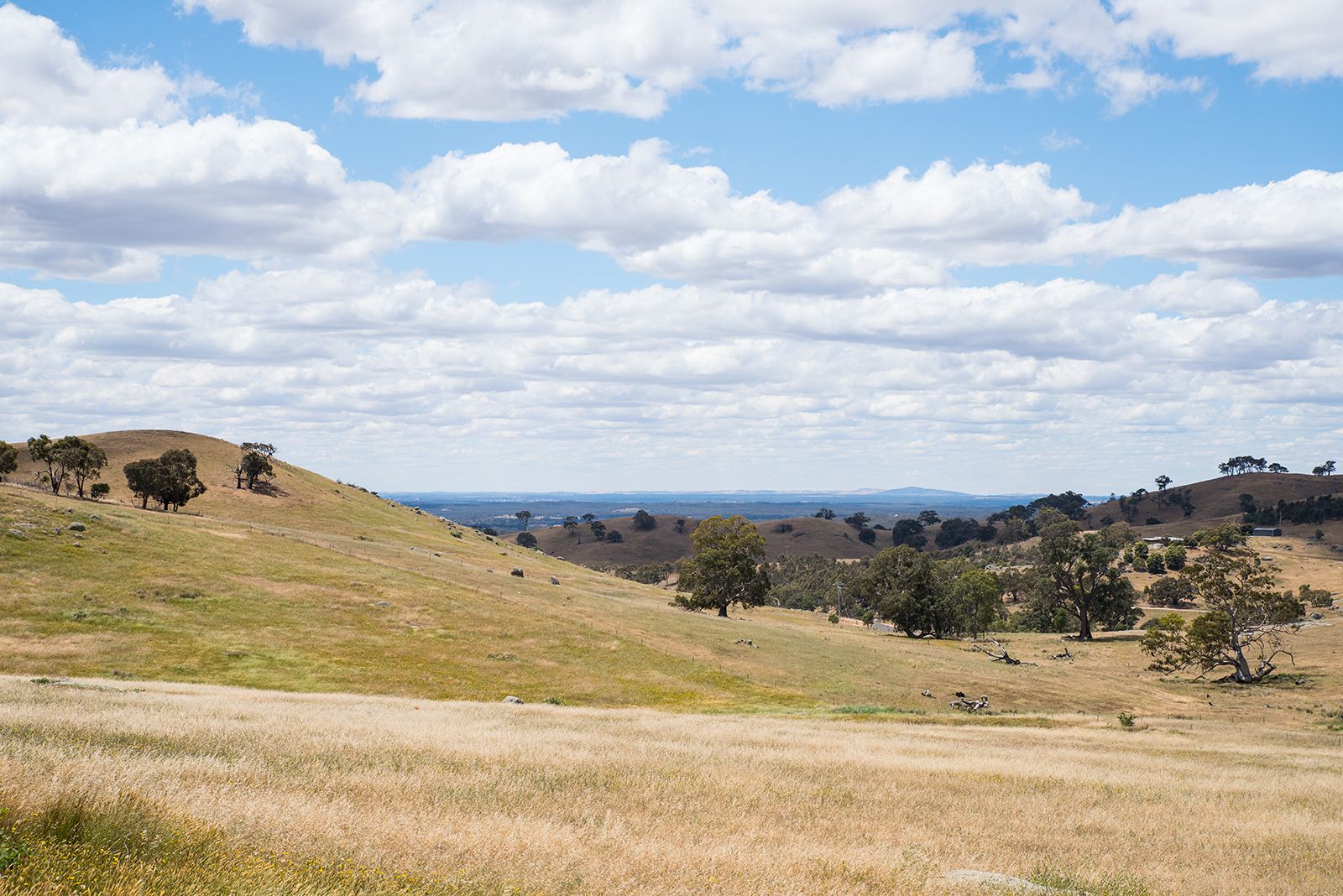 Lot 1 Youngs Lane, Sedgwick VIC 3551, Image 1