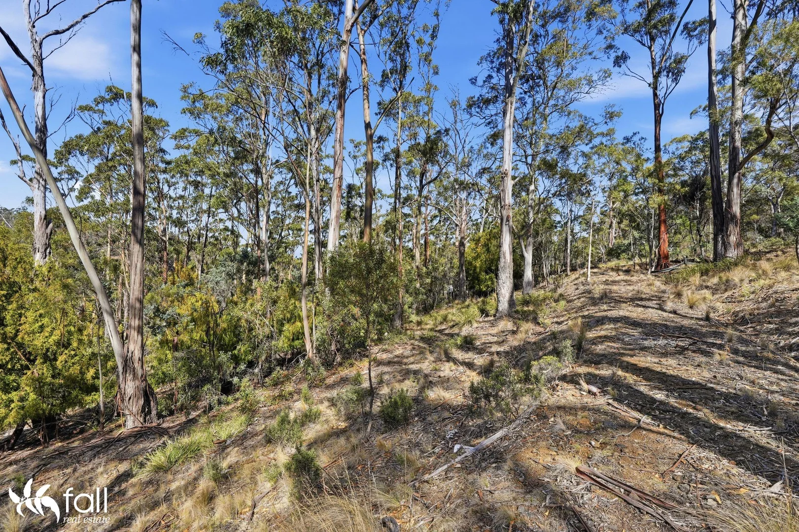 Additional image 9 of 40 Dexter Drive, Mount Rumney TAS 7170