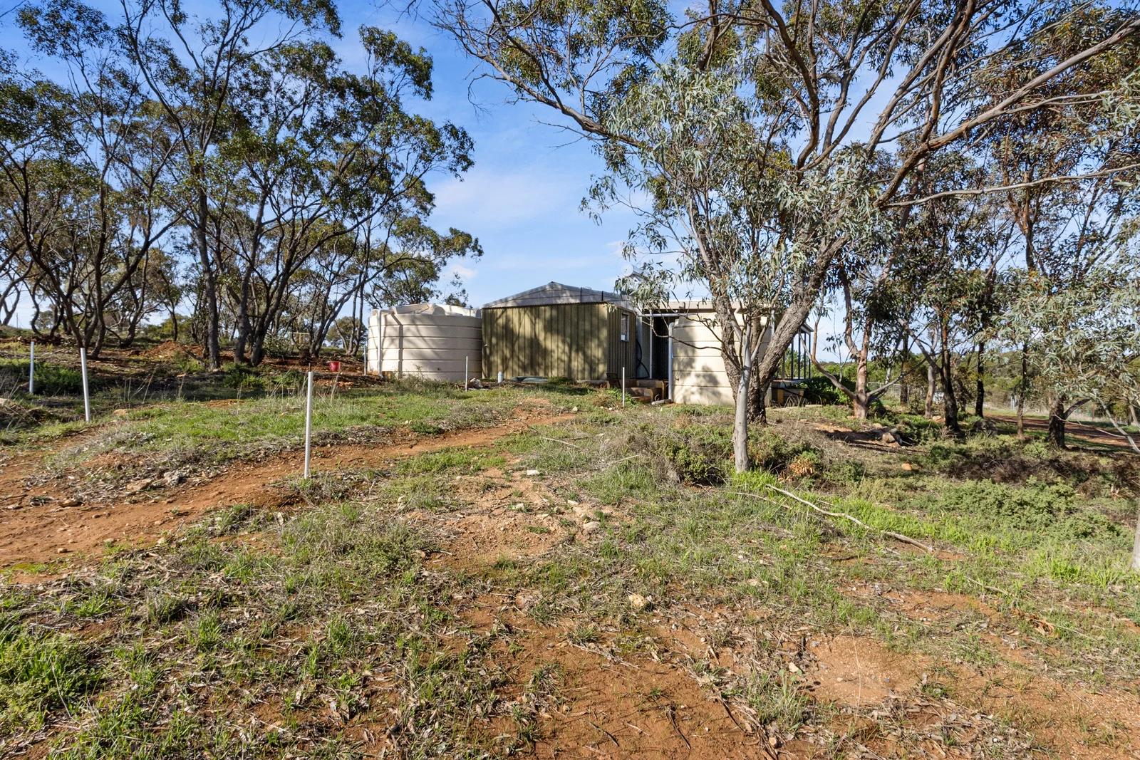 Image 10