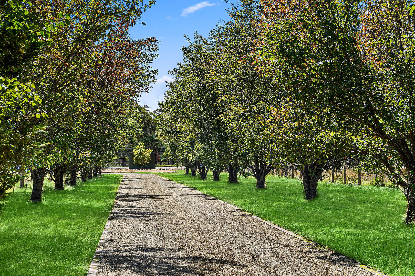 160 Wombala Road, Berrima NSW 2577, Image 1