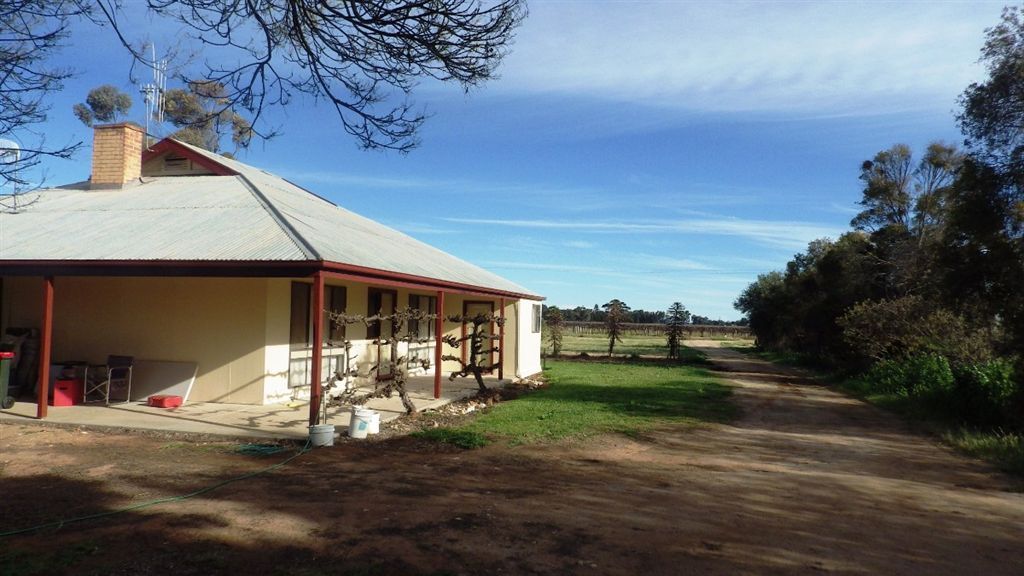 232 Arnold Coats Road, Cobdogla SA 5346 Specialist Farm for Sale